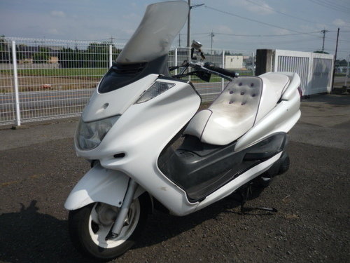 マジェスティ250 SG03J パール 鍵書類有 エンジン始動確認済み 難有