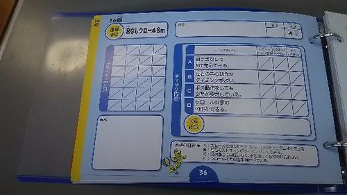 セントラル スイチャレ 16級まで 赤 黄色 たまふうみ 弥生台のキッズ用品 その他 の中古あげます 譲ります ジモティーで不用品の処分