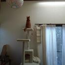 猫ちゃんセット一式　キャットタワー、ペットキャリー
