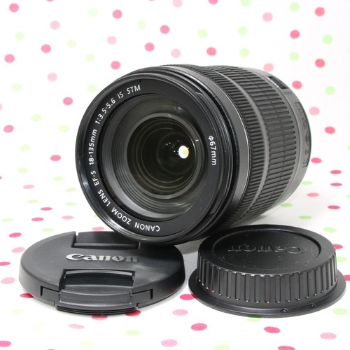 極上美品☆ EF-S 18-135 IS STM | vaisand.com