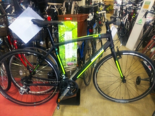 ビッグ・サマーセール　Bianchi　2017　CAMALEONTE　1　　サイズ　51　　ブラッック　　6月30日まで