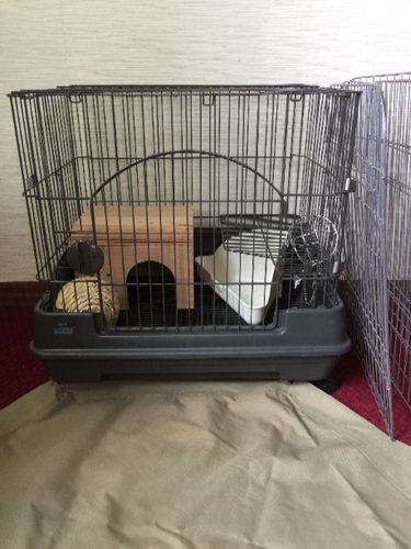【値下げ\u0026追加】ウサギゲージ他すぐに飼える一式セット