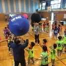 杉並区でキンボール／ニュースポーツ　参加者募集　小学生以上