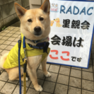 6月25日（日）犬猫譲渡会  in川崎