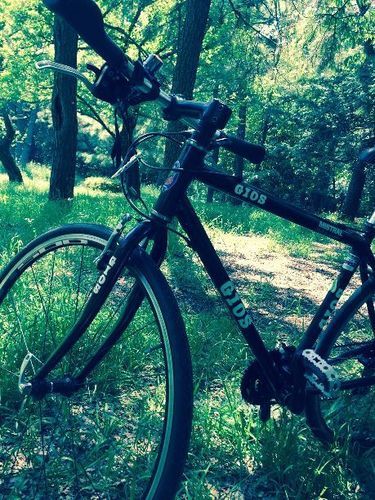 GIOS(ジオス) 「MISTRAL(ミストラル　クロスバイク 2014年モデル　used　良品！お譲りします！