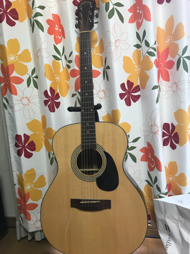 アコースティックギター  Aria Dreadnougft