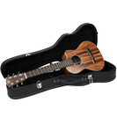 ★ギター女子にもおすすめ★アカシア最高品質アコースティックミニギター【送料無料】