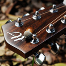 ★ギター女子にもおすすめ★アカシア最高品質アコースティックミニギター【送料無料】