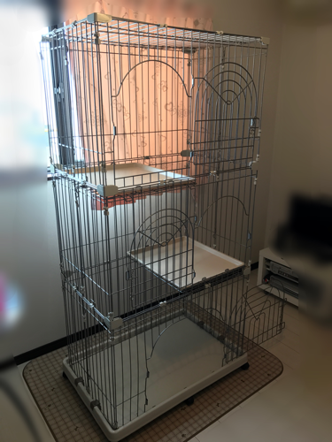 3段ゲージ 猫 アイリスオーヤマ