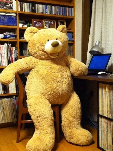コストコ！くまのぬいぐるみ