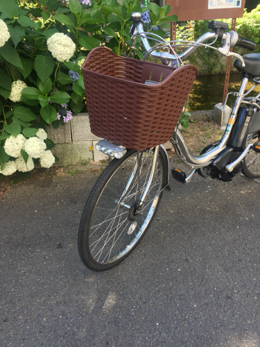 ブリヂストン アシスタリチウムDX 電動アシスト自転車レンタル