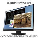 【値下げします】 EIZO  24.1インチ　液晶モニター  EV2455-BK