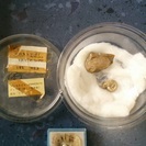 化石（アンモナイト、二枚貝とツノガイ）
