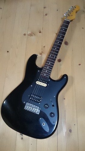 FUJIGEN(FGN)（フジゲン）　エレキギター　現状