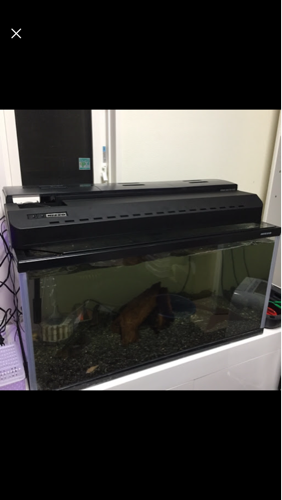 ニッソー 90センチ水槽フルセット 中古