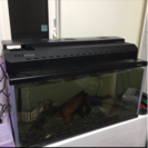 ニッソー 90センチ水槽フルセット 中古