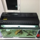 ニッソー 90センチ水槽フルセット 中古