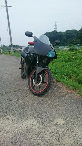 値下げ！ ホンダ NS-1 NSR TZR