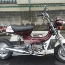 スズキ ランディー FM50 カスタム CF50 Z50J  エンジン シャリー モンキー エイプ ゴリラ