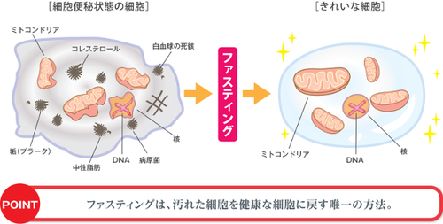 便秘 ファスティング