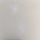 天井の物一式 エルグランド e51 前期