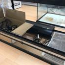 爬虫類関連用品売り出します。