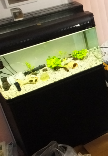 ９０ｃｍ水槽セットとキャビネット