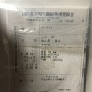 バローレッドアロワナ