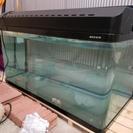 900×450×450/曲げガラス水槽/NISSO/一式/美品