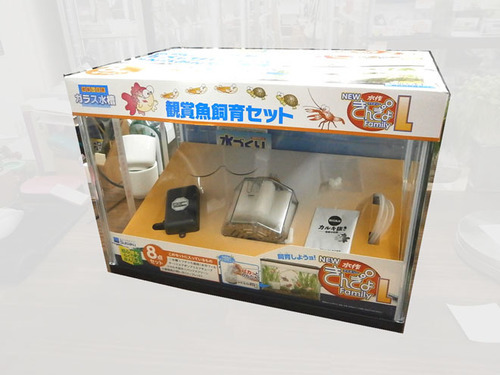 札幌 引き取り 金魚 水槽 観賞魚飼育セット 水作 New金魚ファミリー L ニューきんぎょfamliy 福助 元町店 元町のその他の中古あげます 譲ります ジモティーで不用品の処分 札幌 引き取り 金魚 水槽 観賞魚飼育セット 水作 New金魚ファミリー L ニューきんぎょfamliy 福助 元町店 元町のその他の中古あげます 譲ります ジモティーで不用品の処分