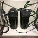 【取引中】60cm水槽セット&生体