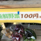無農薬野菜 100円