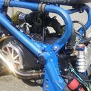 ZOOMER ズーマー モンスターシグナスフルチューン フルカスタム232cc 交換可