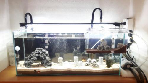 【値下げ】熱帯魚飼育水槽完全一式　すぐ始められますおまけ付き