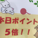 本日✨ポイント✨５倍