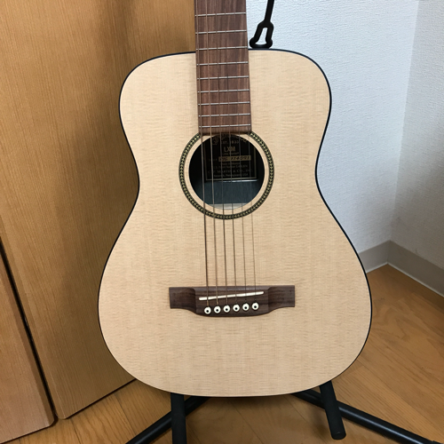 マーティン LXM little martin