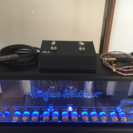 HUGHES&KETTNER Tube Meister 36 Head 30th &TM 112