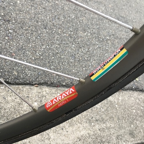 SAMSON ピスト