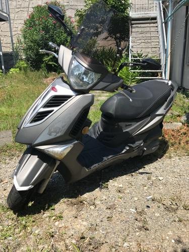 PGO TIGRA125 13日取り引き限定