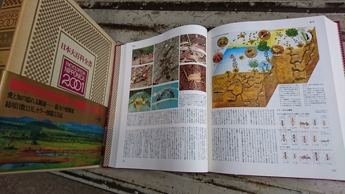小学館 ENCYCLOPEDIA NIPPONICA 2001 日本大百科全書全25巻　+　総合大地図