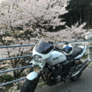 冬のボーナス‼️ 値下げしました‼️XJR400R