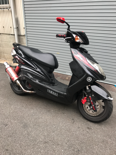 ジクナスX SE44自賠責つき