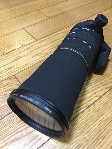 シグマ 170-500mm F5-6.3 APO DG ニコン用 | stainu-tasikmalaya.ac.id