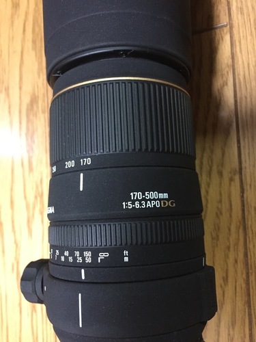 シグマ 170-500mm F5-6.3 APO DG ニコン用