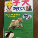 子犬の育て方