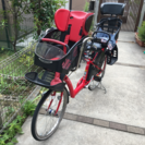 アンジェリーノ赤AG26-3【9月引渡し予約】