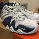 【新品未使用】 エア ズームフライトファイブ B / 27.5センチ