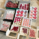 プリザーブドフラワー【ピンク】