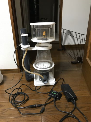 海水魚セット！ 水槽 スキマー クーラー 他