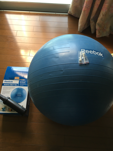 Reebok リーボック バランスボール ニキ 新秋津のボディケアの中古あげます 譲ります ジモティーで不用品の処分